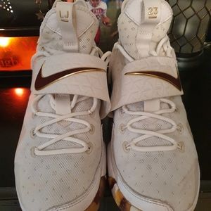 Nike LeBron
